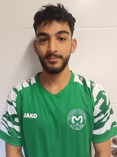 Navid Hassani