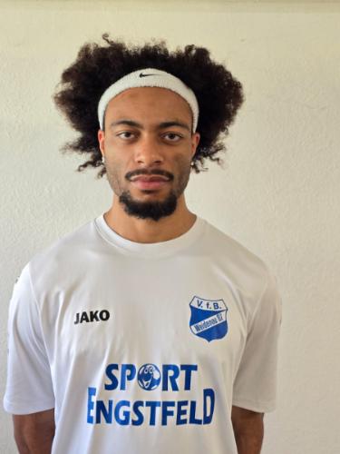 Dominik-Mesa Steube