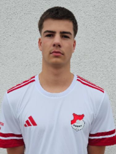 Hendrik Lasse Binder