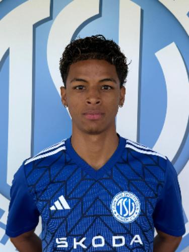 Nelson Jose Villadiego Perez