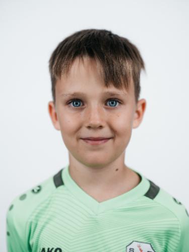 Willy Linke