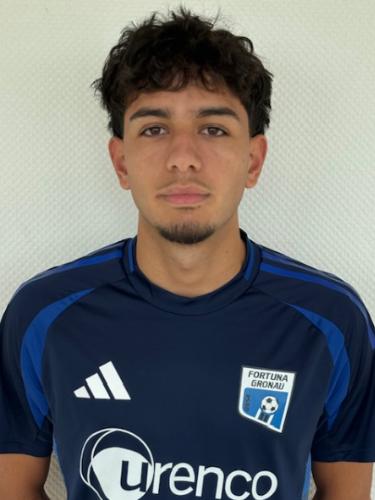 Hasan Dikmen