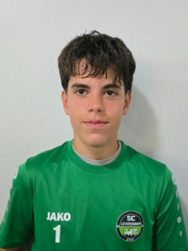 Nemanja Vukajlovic