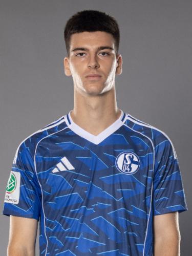 Amar Ibrisimovic