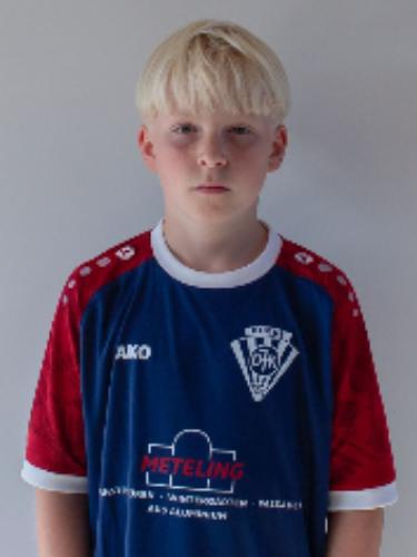 Vincent van Waasen