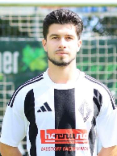 Milutin Acimovic
