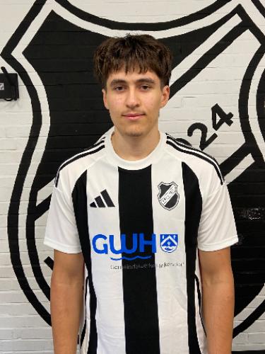Mikail Aydogdu