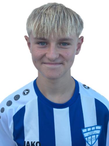 Dominik Jason Herzig
