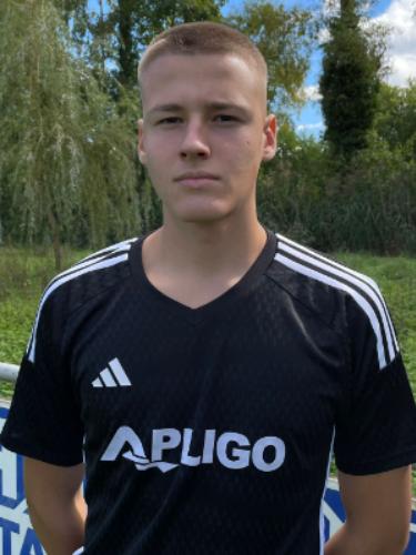 Aleksa Dubaic