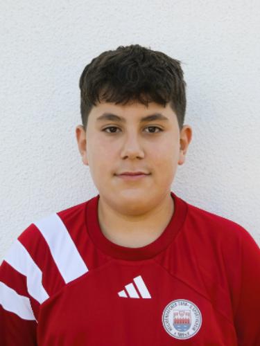Mohammad Taha Heidari