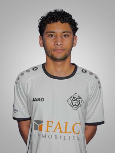 Aguinaldo Pedro Da Silva Filho