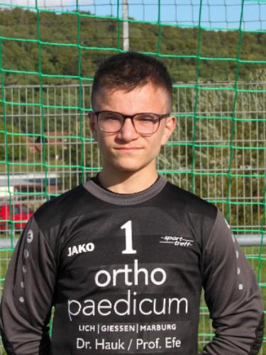 Emilian Daniel Siegfried Weiershäuser