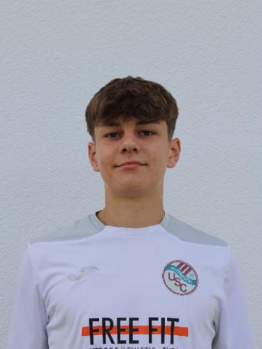 Timo Werner
