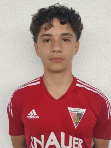 Nedzad Salijovic
