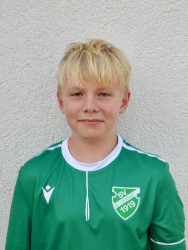 Hannes Volker Walter