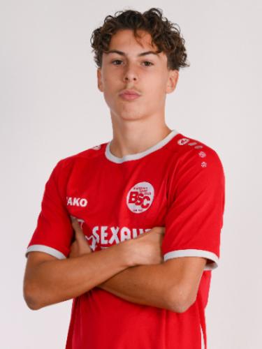 Luis Dias Dilger