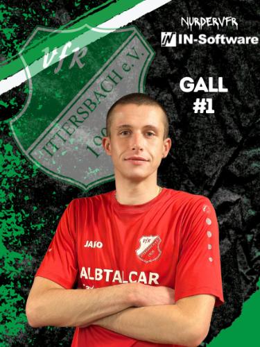 Manuel Gall