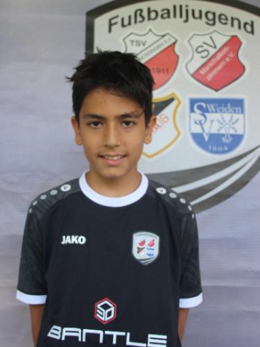 Ali-Rida Berjaoui