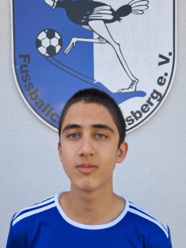 Arash Mohammadi