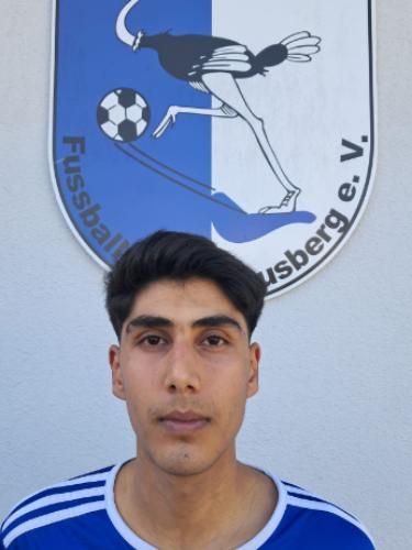 Arman Mohammadi