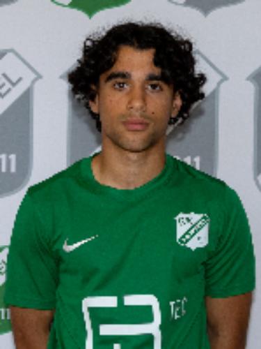 Seyed Parsa Lavasani