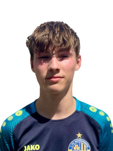 Luca Alexander Gerliz