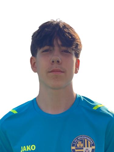 Nico Tomislav Goldschmidt