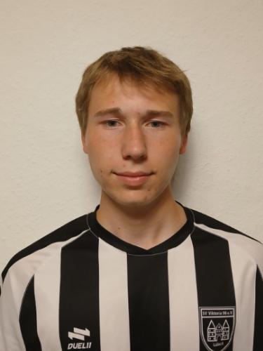 Johannes Victor Wesenberg