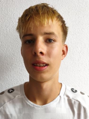 Finn Niklas Moser