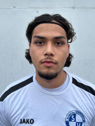 Amir Hussain Hussaini