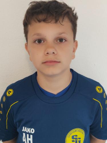 Amar Hasanovic
