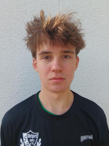 Emilian Laguarta Piephans