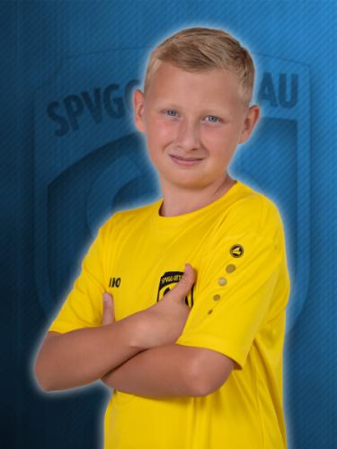 Lion Schäfer