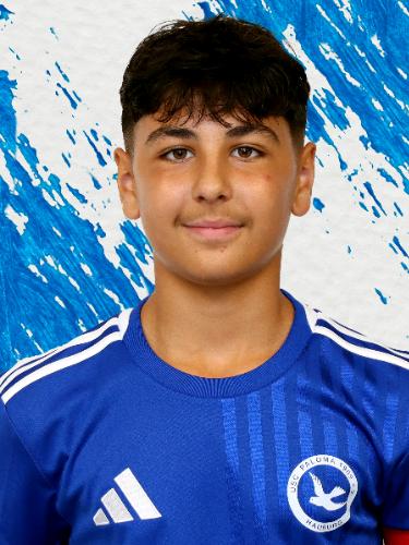 Alexander Nahir Destici