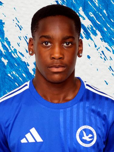 Collins Agyemang Junior Nimako