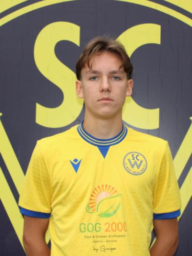 Lasse Häfner