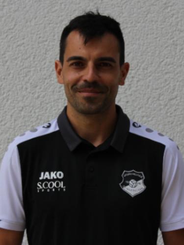 Ernesto Francisco Oliveira Martins