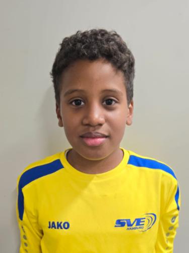 Hamilton Kofi Languidey