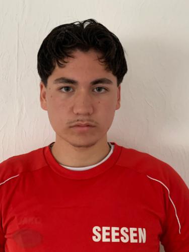 Said Ahsan Said Hassan Shah