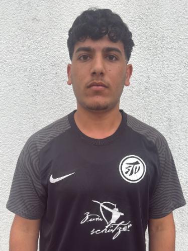 Mohammad Amin Almfdi Alsaleh