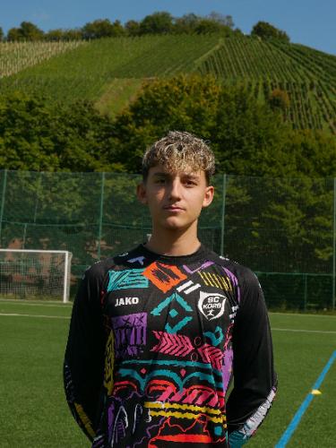 Bleon Olluri