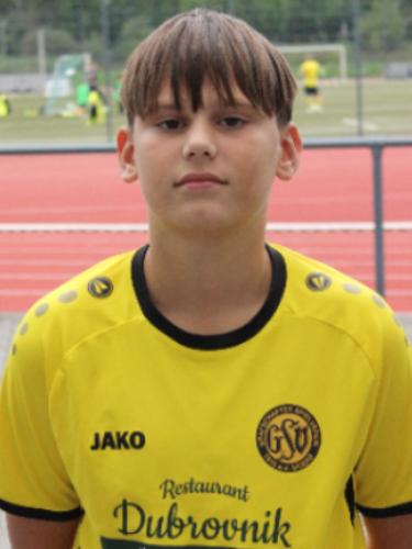 Vito Velimir Cerovic