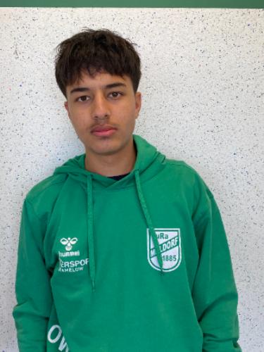 Mohammad Milad Mohammadi