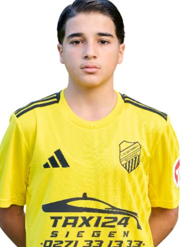 Mohamad Ali Allolo