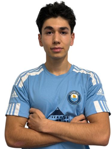 Amir Hossein Mohseni