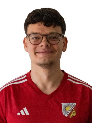 Marco Engist