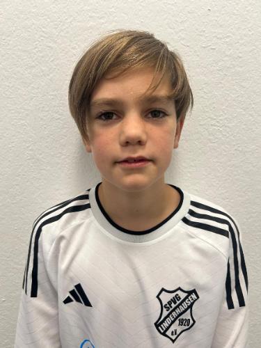 Hannes Belitz
