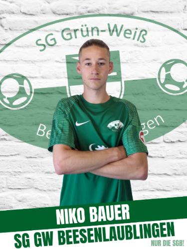 Niko Bauer