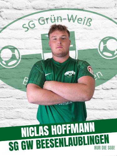 Niclas Hoffmann