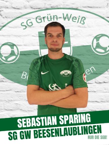 Sebastian Sparing